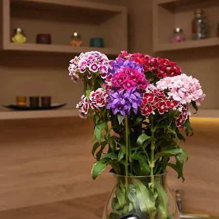Apartman Marija 扎达尔